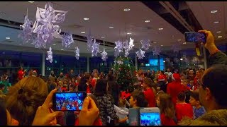 International School of Stavanger Holiday Highlights 2017 [upl. by Zarihs]