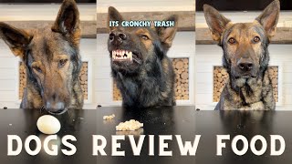 Dog Reviews Different Foods [upl. by Kinch]