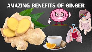 These Amazing Benefits Of Ginger Will Surprise You Amazing Health Benefits Of Ginger [upl. by Garner]