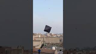 ytshort 6Tawa Gudda 🪁  Vasant panchami 2025 🧵 vasantpanchmispecial kiteflying [upl. by Lilhak]