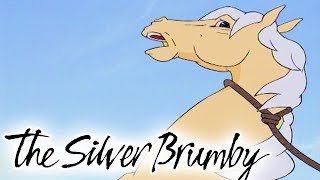 The Silver Brumby  Episode 6  Thowra Is Captured  HD  Full Episode  Videos For Kids [upl. by Martine502]