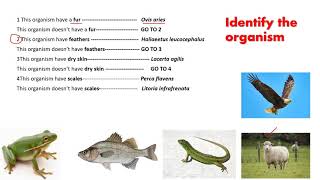 14 Dichotomous key  IGCSE BIOLOGY  httpswwwl2htuitioncom [upl. by Mab754]