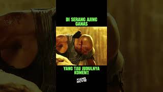 DI SERANG AJING GANAS movie alurceritamovie alurfilm [upl. by Dronski]