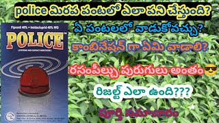 police insecticide  police insecticide uses in telugu  police insecticide in mirchi  pesticide [upl. by Vudimir]