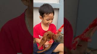 The baby cried and begged everyone to save the puppy that had an accident pet dog lovedog [upl. by Neelie]