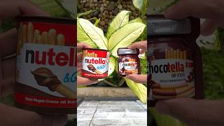 Nutella Vs Chocotella [upl. by Anasor]