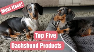 FIVE Things You Should Have Before Bringing Your DACHSHUND PUPPY Home [upl. by Bryce]