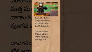 Vishwanathastakam telugu lyrics  lordshiva devotionalsongs vishwanathashtakam telugulyrics [upl. by Anitsim]