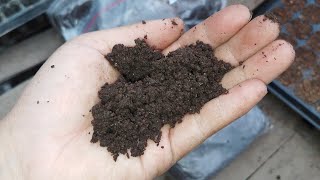 What is Vermicast  Vermicast organic fertilizer worm manure100 organic [upl. by Nuahsyar]