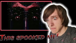 BATTINGTONS NEW VIDEO IS HORRIFYING  FNAFVHS Reaction [upl. by Dionis]