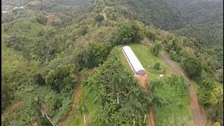 Ziplining the Beast at Toro Verde in Puerto Rico [upl. by Hourihan206]