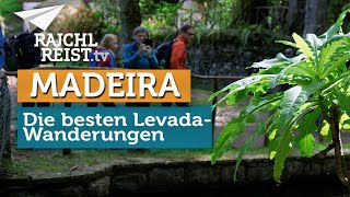 Madeira die schönsten LevadaWanderungen [upl. by Diskson]