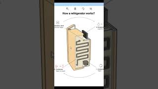 How a refrigerator works [upl. by Ariaes]