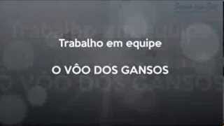 O Vôo dos Gansos  Motivação Liderança e Trabalho em Equipe [upl. by Lundgren451]