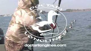 Doctari Longlines on Ducks Dogs amp Decoys [upl. by Haskel]