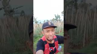 trail run travelvlog trailer trailrun pendaki cikuray tapakgerot [upl. by Sug]