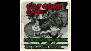 Retako  Catalunya  Cat Corp radio [upl. by Maffei746]