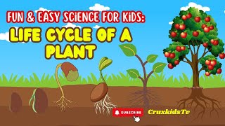 Life Cycle of A Plant Fun and Easy Science for Kids [upl. by Reizarf]