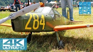 SK 25 BÜCKER BESTMANN BÜ 181 14 BÖRJE SEBRING SWE F4 SCALE WORLD CHAMPIONSHIP 2018 MEIRINGEN 4K [upl. by Eekorehc863]