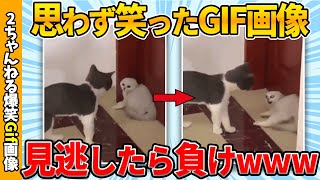 【おもしろgif総集編】思わず笑ってしまった傑作gif画像集ww 【コメ付き】【ゆっくり解説】【2chスレ】【5ch】 [upl. by Anwat]