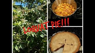 Loquat Pie [upl. by Nyleda]