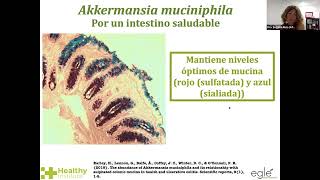 Webinar 5 Akkermansia muciniphila ¿qué y para qué por la Dra Begoña Ruiz Núñez [upl. by Christos80]