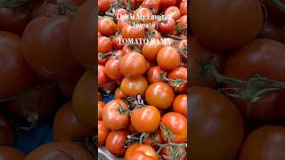 THIS IS MY FAVORITE TOMATO CezmaIgorotaIloveEstepona tomato tomatoes tomato [upl. by Adran]