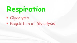 RespirationType of RespirationGlycolysisBSc 3rd YearLife Science Classes [upl. by Ferdie]