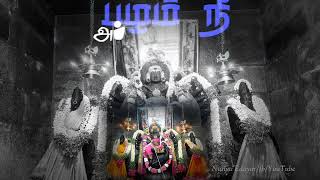 murugan nanjaiedayar murugarsongs devotionalsongs murugan watsappstatus [upl. by Atnovart]