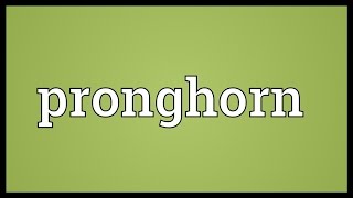 Pronghorn Meaning [upl. by Kissiah]