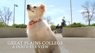 Great Plains College DogsEye View [upl. by Elbertine517]