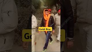 कौन है गोल्डी बराड़ ❓ gangster bollywood news goldibrar lawrancebisnoi lawrancegang [upl. by Schreiber]