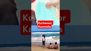 Kuchanoor kammaila🥰⚠️💫⁉️♥️shortsfeed ytviral ytshortsindia shorts dance dancevideo music tam [upl. by Johnathan433]