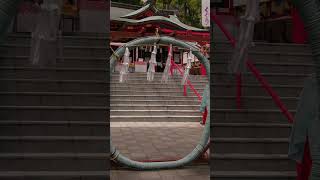 An Inari shrine somewhere in Japan you will love [upl. by Ricoriki]