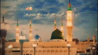 Qaseeda Burdah Shareef with Urdu translation halalhub qaseedahshareef viralislamicvideo [upl. by Anallij]