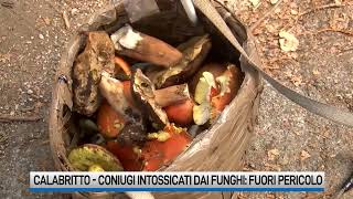 Funghi velenosi Estubati e coscienti gli anziani intossicati [upl. by Atram]