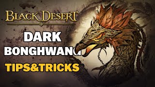 🔥 BDO  Dark Bonghwang  Hard Difficulty  All Mechanics  Black Shrine  Party Boss [upl. by Einnil]