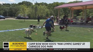 Camp Bow Wow hosts quotPawlympicquot Games [upl. by Natsuj]