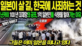 해외감동사영 quot일본이 살 길은 한국에 사죄하는 것quot 난카이 100년 대재앙의 공포 1억 일본인들이 식량을 털어가고 있다 [upl. by Drolet]