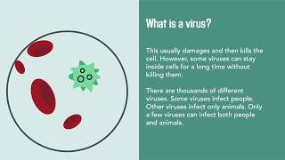 Viral Infections Causes Diagnosis Prevention and Treatment  Merck Manual Consumer Version [upl. by Cherin]