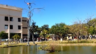 CAMPUS DA UFSC [upl. by Newton248]