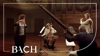 Bach  Trio Sonata in G major BWV 1039  Netherlands Bach Society [upl. by Dao]