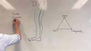 Exam Questions  Deep Vein Thrombosis [upl. by Lucienne879]