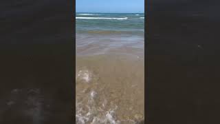 South Padre Island shortsbeachnephewsfamily [upl. by Milak200]