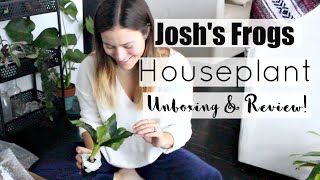 Tropical Houseplant Haul  Joshs Frogs Houseplant Haul [upl. by Su500]