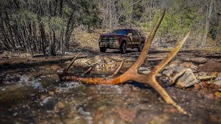 Arizona shed hunting 2024 WMAT White Mountain Apache Tribe solotines fullcurl crispi [upl. by Lauhsoj]