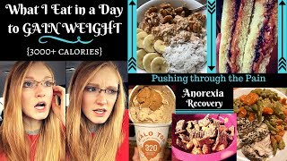 WHAT I EAT IN A DAY  Anorexia Recovery Pushing through the PAIN  ALOT of CEREAL and ICE CREAM [upl. by Rochester115]