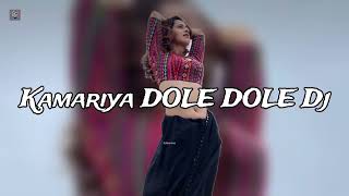 Kamariya DOLE DOLEDj Lofi song🎶 😊🥀 SlowedReverb bhojpuri 🎶✔️✅🎧 new song slow motion 2024 😍💃📉 [upl. by Esyak]