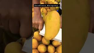 seedless Mangoes hope you never seen before 😱😱😱😮😮🤤🤤🤤💯 shorts [upl. by Ynohtnakram]