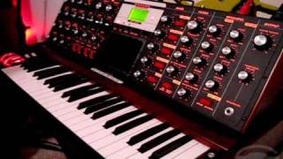 Moog Voyager Acid Basslines [upl. by Lonna]